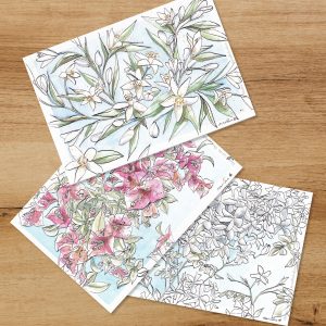 Trio de cartes postales : Nèfle, Fleur d'oranger et Bougainvillier