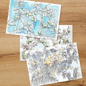 Cartes postale figuier mimosa et olivier